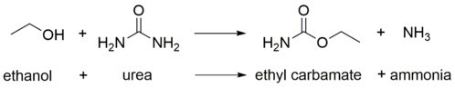 ethyl carbamate forms from the reaction of ethanol with urea